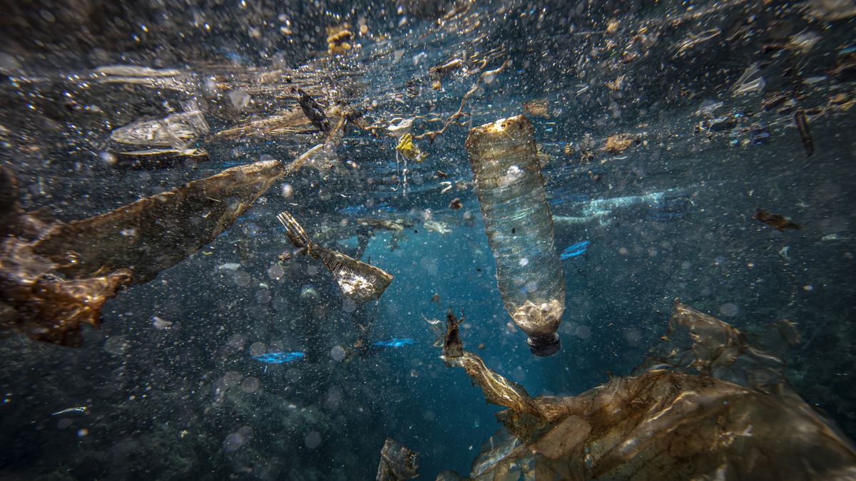 Už teď to není pěkný pohled. Do roku 2050 bude v oceánech více plastů než ryb